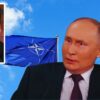 Clayton Morris Explains How Putin Scored a KNOCKOUT Blow to NATO and They're Getting Desperate