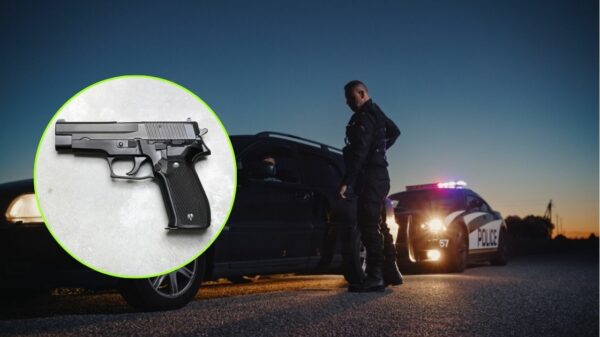 GUN SEIZED by Cops Minnesota Court Says Inside Your Car Is Public Space (1)