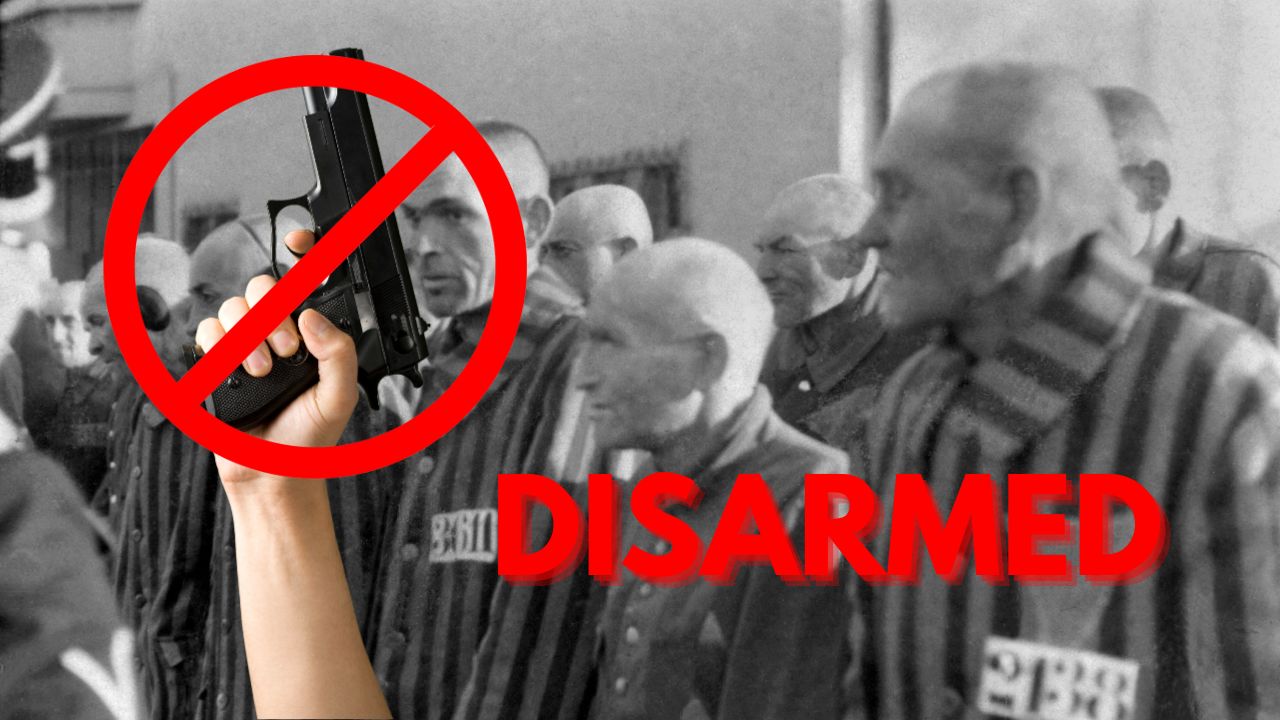 Historically Speaking, Here's What Happens When Gun Control Wins and Citizens are DISARMED