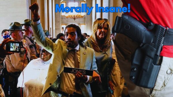 'Morally Insane' Democrat Tennessee State Rep. BLASTS Gun Bill Allowing Armed Teachers
