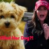 Kristi Noem's VP Odds CRASH Following Dead Puppy Admission